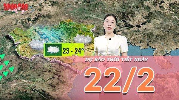 [Video] Dự báo thời tiết ngày 22/2/2026: Cả nước nhiều mây, miền Bắc sương mù dày, miền Nam đón mưa trái mùa