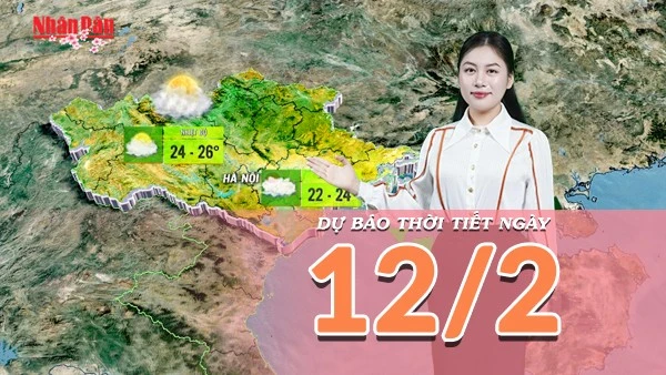 [Video] Dự báo thời tiết đêm nay và ngày mai 12/2/2026: Không khí lạnh suy yếu, nắng xuất hiện trên cả nước