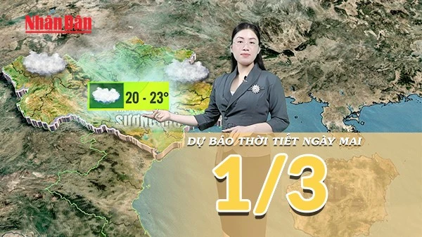 [Video] Dự báo thời tiết đêm nay và ngày mai 1/3/2026: Vùng áp thấp phía Tây phát triển mạnh, cả nước chuyển nắng ráo
