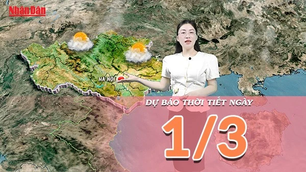 [Video] Dự báo thời tiết ngày 1/3/2026: Cả nước chuyển nắng, Bắc Bộ và Trung Bộ tăng nhiệt do ảnh hưởng vùng áp thấp phía Tây