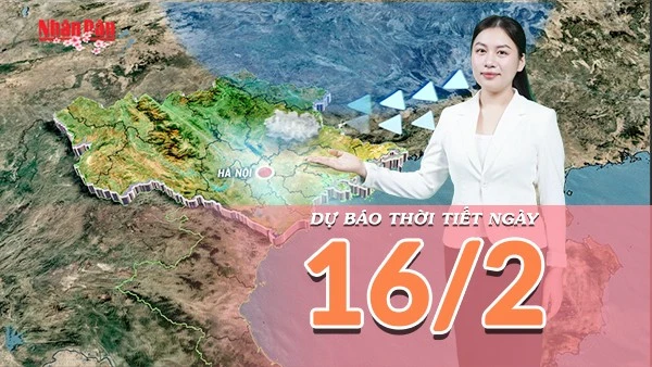 [Video] Dự báo thời tiết ngày 16/2/2026: Không khí lạnh tăng cường