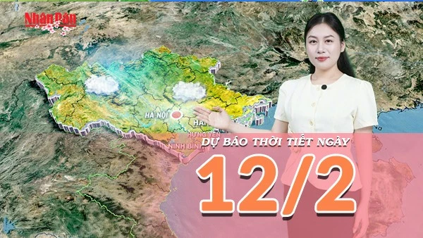 [Video] Dự báo thời tiết ngày 12/2/2026: Thời tiết tốt, thuận lợi cho các hoạt động chuẩn bị Tết 