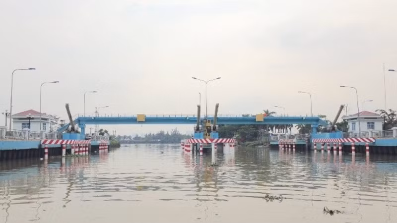 anh-bai-40-2-4463.jpg