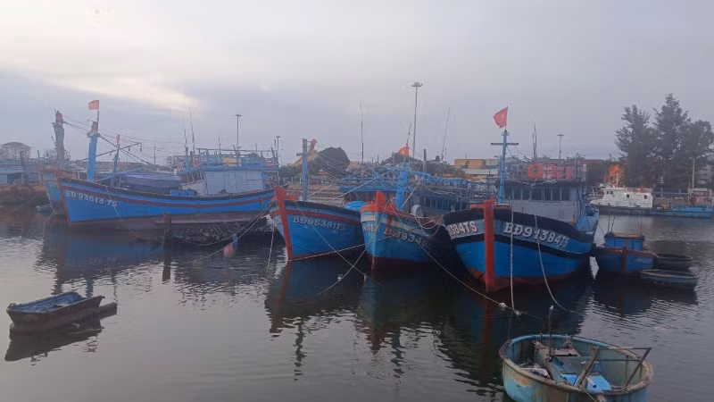 Tàu thuyền neo đậu tại cảng Quy Nhơn để tránh trú bão.