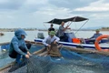 Cần kiểm soát chặt sản phẩm xử lý môi trường trong nuôi trồng thủy sản. (Ảnh: LÊ QUÂN)