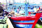 Ngư dân tỉnh Đắk Lắk chuẩn bị nhu yếu phẩm vươn khơi bám biển dài ngày khai thác cá ngừ đại dương.