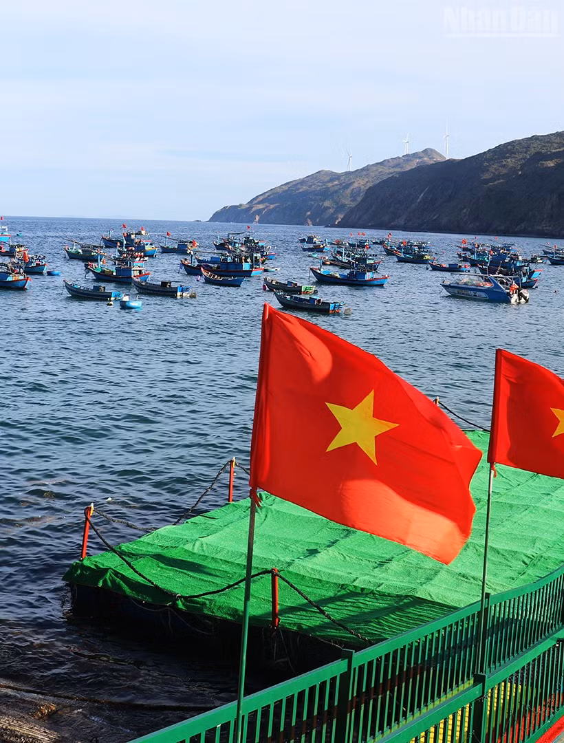 Cảng cá Nhơn Lý được tỉnh Gia Lai chọn là điểm nhấn của vùng trọng điểm du lịch biển.