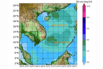 Bản đồ dự báo độ cao sóng.