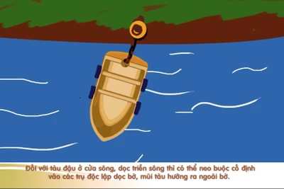 [Video] Hướng dẫn neo đậu tàu an toàn để tránh bão số 3