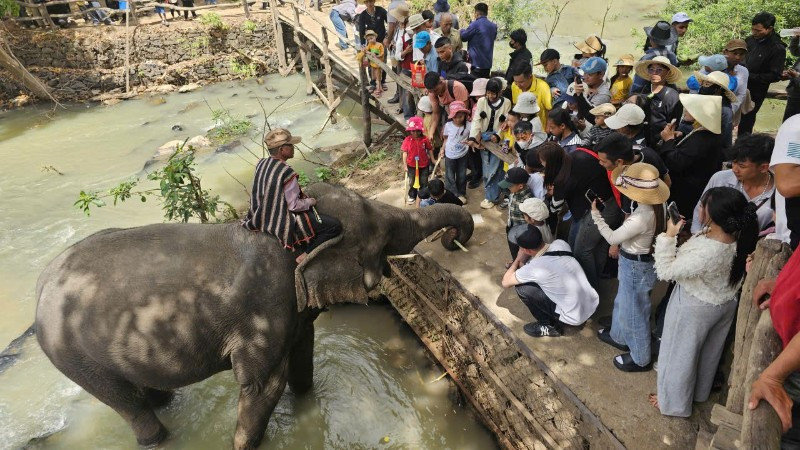 Đông đảo du khách đến tham quan, vui chơi tại Trung tâm du lịch cầu treo Buôn Đôn.