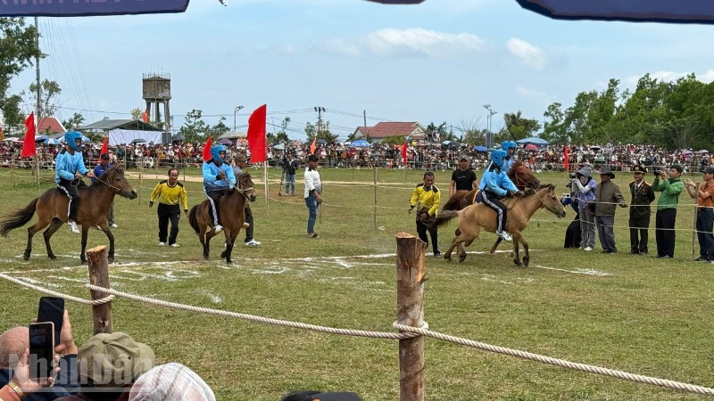 Các "kỵ sĩ nông dân” và “kỵ mã thồ hàng” tham gia hội đua.