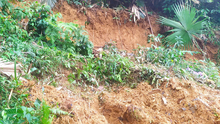 Vết sạt, trượt trên đồi phía sau công trình trường học đang thi công.