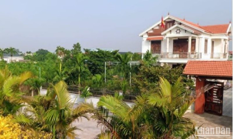 Ở vùng đất này, cây cối tốt tươi quanh năm.