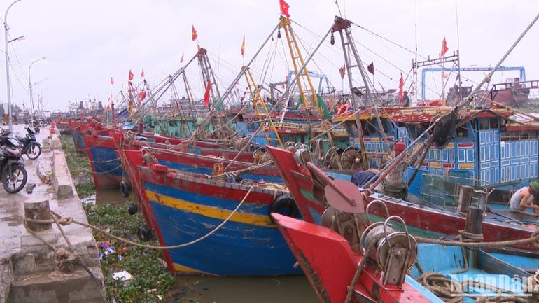Đến 17 giờ ngày 22/7, toàn bộ tàu thuyền ở tỉnh Thái Bình đã vào nơi trú ẩn an toàn.