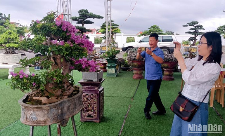 Du khách thích thú lưu lại những bức ảnh kỷ niệm bên những cây cảnh, cây thế có giá trị thẩm mỹ cao trong làng vườn Bách Thuận.