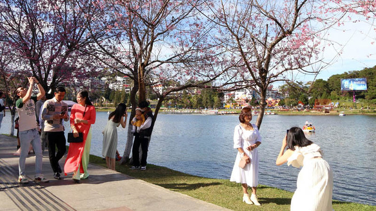 Xứ ngàn hoa Đà Lạt hấp dẫn du khách.