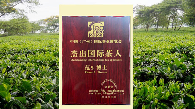 Vườn chè LĐ 97 sản xuất hữu cơ tại Lâm Đồng và chứng nhận “Nhà khoa học đóng góp kiệt xuất cho ngành trà thế giới” dành cho những cống hiến của Tiến sĩ Phạm S.