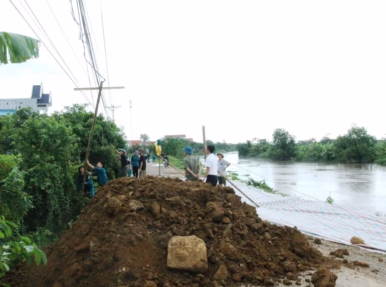 Huyện Nga Sơn xử lý sự cố đê theo phương án "4 tại chỗ".