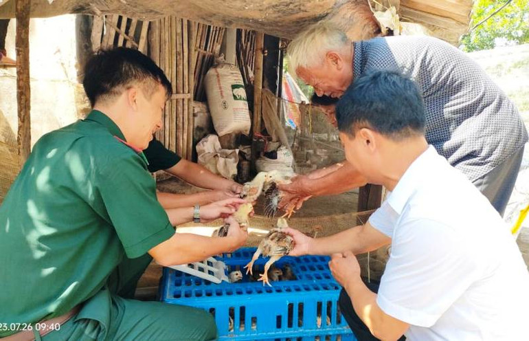 Đảng viên Biên phòng tặng gà giống, tạo thêm sinh kế cho hộ khó khăn.
