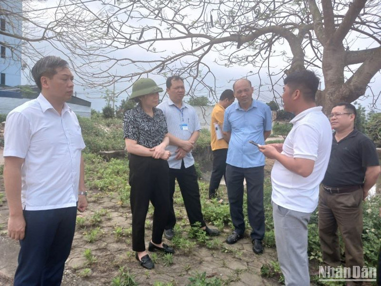 Chủ tịch Ủy ban nhân dân huyện Vũ Thư Phạm Thị Như Phong cùng Hội đồng giải phóng mặt bằng kiểm tra thực địa tại các xã có đường dây 500KV đi qua. Chủ tịch Ủy ban nhân dân huyện Vũ Thư Phạm Thị Như Phong cùng Hội đồng giải phóng mặt bằng kiểm tra thực địa tại các xã có đường dây 500KV đi qua.