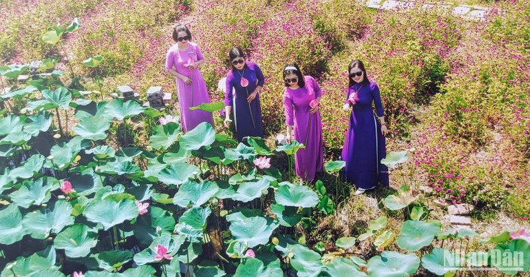 Tác phẩm "Sắc thắm mùa hoa" của tác giả Quang Thọ.