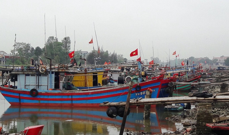 Tàu thuyền neo đậu trong âu tránh trú bão ở Quảng Thạch, huyện Quảng Xương.
