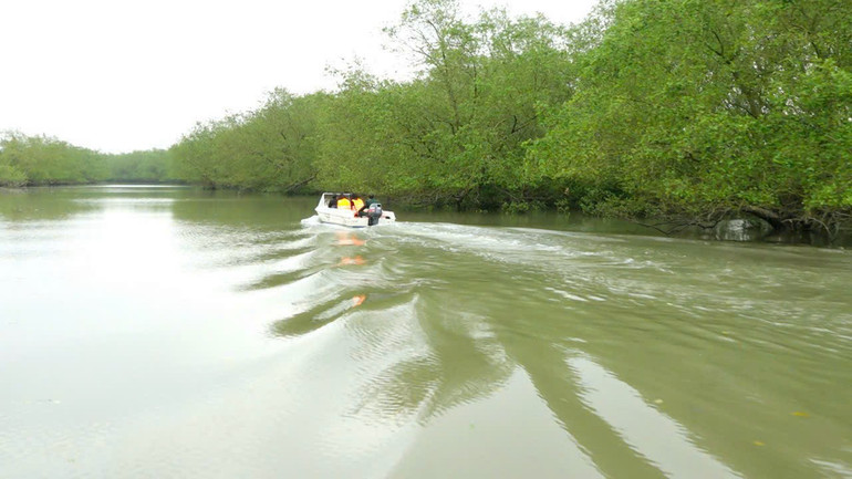 Rừng ngập mặn Thụy Trường (huyện Thái Thụy) thuộc Khu dự trữ sinh quyển châu thổ sông Hồng, nhưng hiện nay hầu như chưa khai thác được nhiều để phát triển du lịch trải nghiệm. Rừng ngập mặn Thụy Trường (huyện Thái Thụy) thuộc Khu dự trữ sinh quyển châu thổ sông Hồng, nhưng hiện nay hầu như chưa khai thác được nhiều để phát triển du lịch trải nghiệm.