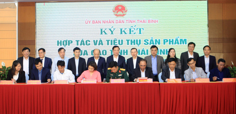 18 doanh nghiệp trong nước ký kết hợp tác và tiêu thụ sản phẩm lúa gạo tỉnh Thái Bình.