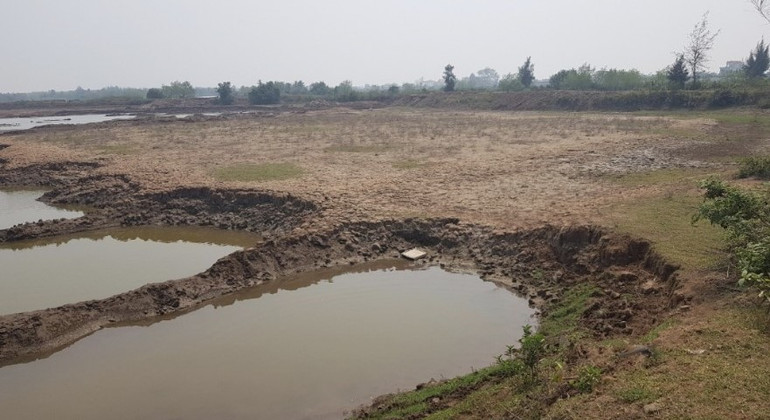 Đất tại khu vực đầm đã bị các đối tượng khai thác trái phép bán kiếm lời.