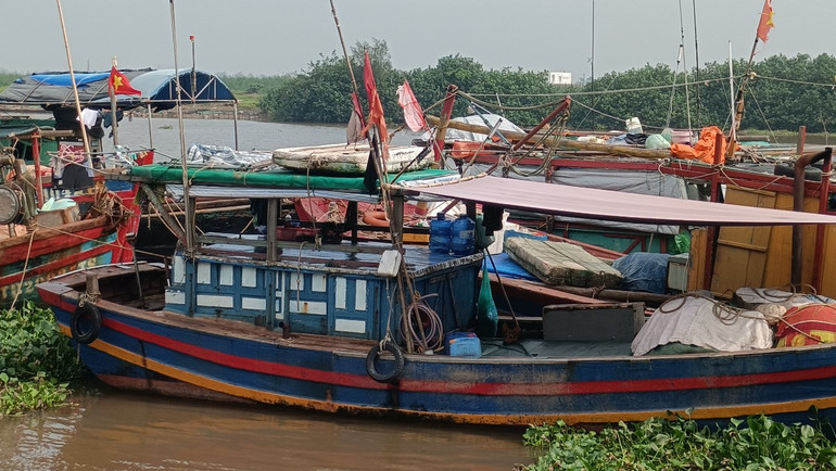 TỉnhThái Bình sẽ loại bỏ, xóa tên các tàu cá đã bán, chuyển nhượng ra ngoài tỉnh nhưng không làm thủ tục xóa đăng ký. TỉnhThái Bình sẽ loại bỏ, xóa tên các tàu cá đã bán, chuyển nhượng ra ngoài tỉnh nhưng không làm thủ tục xóa đăng ký.