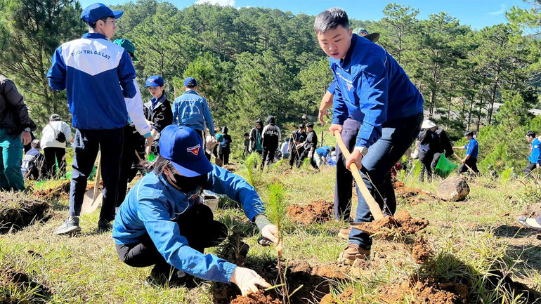 Đoàn viên, thanh niên thành phố Đà Lạt tham gia trồng cây tại lễ phát động.