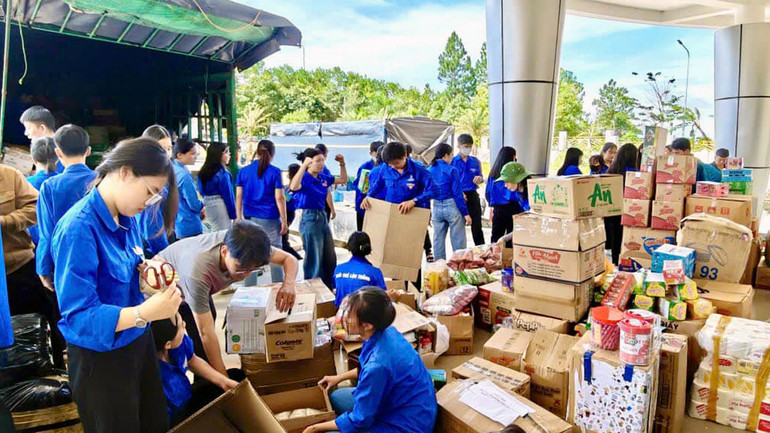 Tuổi trẻ Lâm Đồng tiếp nhận, phân loại nhu yếu phẩm của người dân ủng hộ đồng bào vùng lũ.