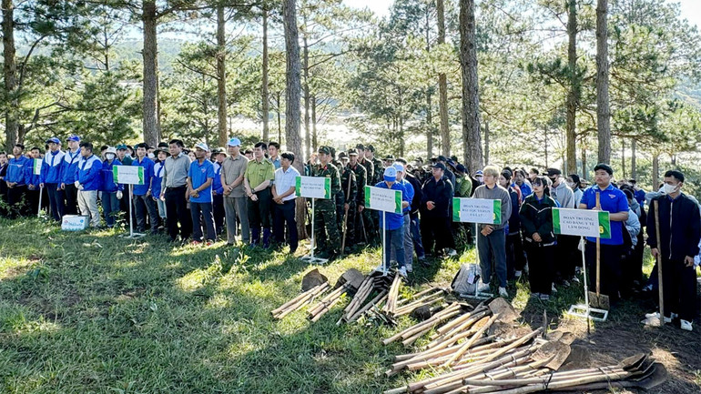 Các đại biểu và hơn 500 đoàn viên, thanh niên trên địa bàn thành phố Đà Lạt tham gia lễ phát động trồng cây gây rừng.