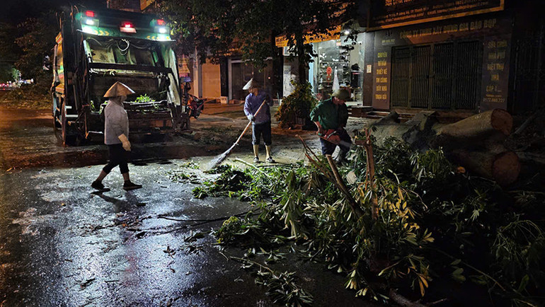 Công nhân Công ty môi trường Thanh Hóa cắt, thu gom cây đổ trong đêm 6/9.