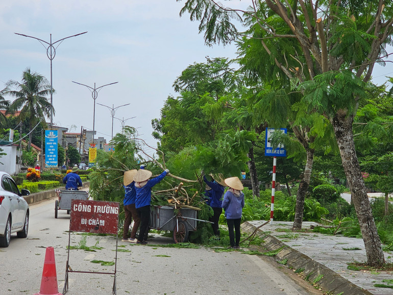 Công nhân Công ty môi trường chủ động cắt tỉa, thu gom cành cây.