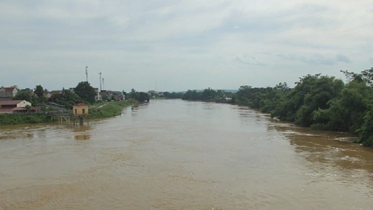 Mực nước trên sông Bưởi.