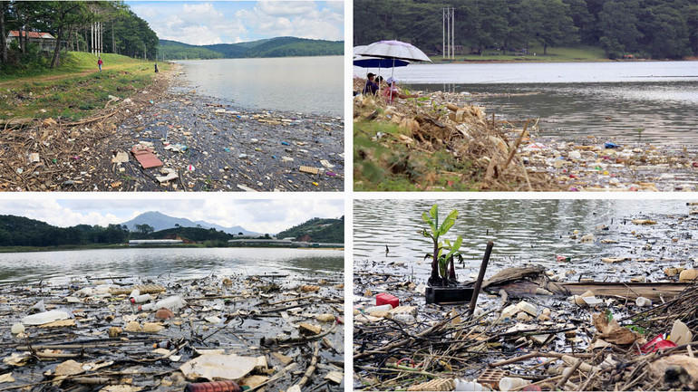 Phần lớn là vỏ bao bì thuốc bảo vệ thực vật, rác thải hữu cơ do hoạt động sản xuất nông nghiệp thải ra.