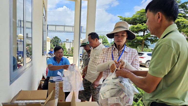 Phát thuốc hỗ trợ người dân điều trị bệnh cho đàn bò sữa.