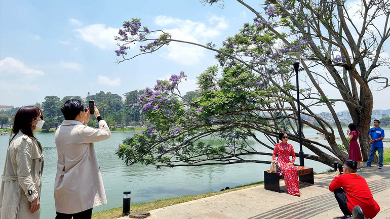 Đà Lạt mùa phượng tím.