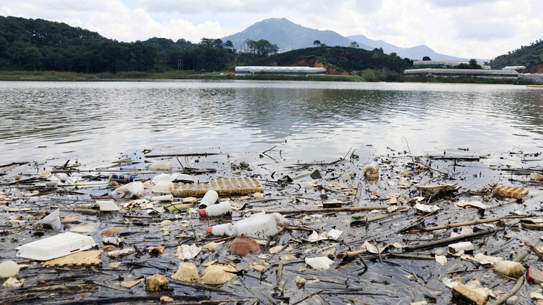 Phía bên kia hồ Đankia là những khu vườn sản xuất nông nghiệp.