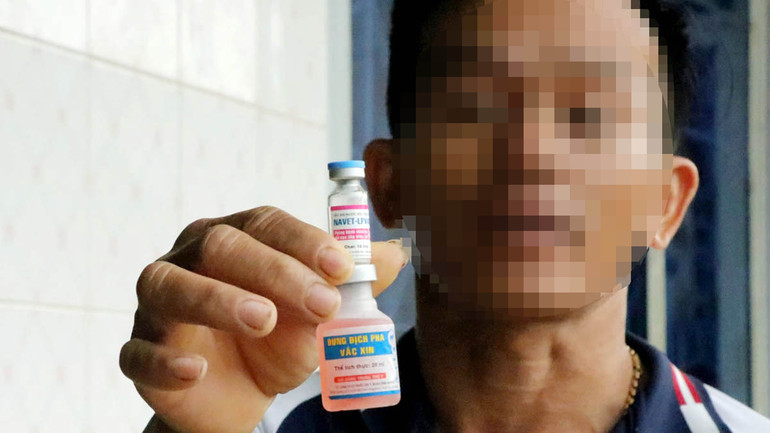 Loại vaccine phòng viêm da nổi cục tiêm trên đàn bò sữa tại Lâm Đồng.