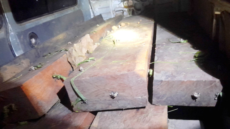 Tang vật thu giữ tại hiện trường.