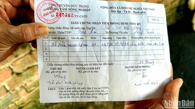 Giấy chứng nhận tiêm phòng bệnh sau khi bò sữa được tiêm vaccine.