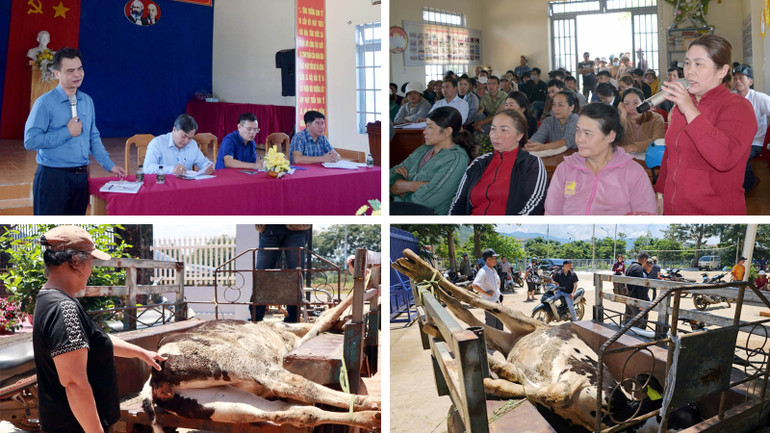 Ngành nông nghiệp tỉnh Lâm Đồng cùng chính quyền huyện Đức Trọng trao đổi với những nông hộ chăn nuôi bò sữa tại xã Hiệp Thạnh, sau khi hàng loạt con bò sữa trên địa bàn chết chưa xác định nguyên nhân.