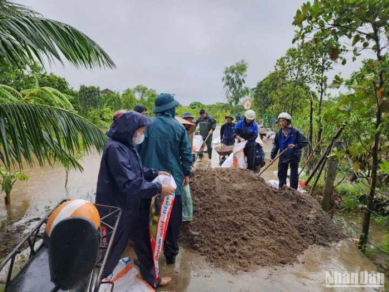 Chính quyền huyện Vũ Thư yêu cầu các địa phương chú trọng an toàn về người, bảo vệ các công trình đê, kè xung yếu.