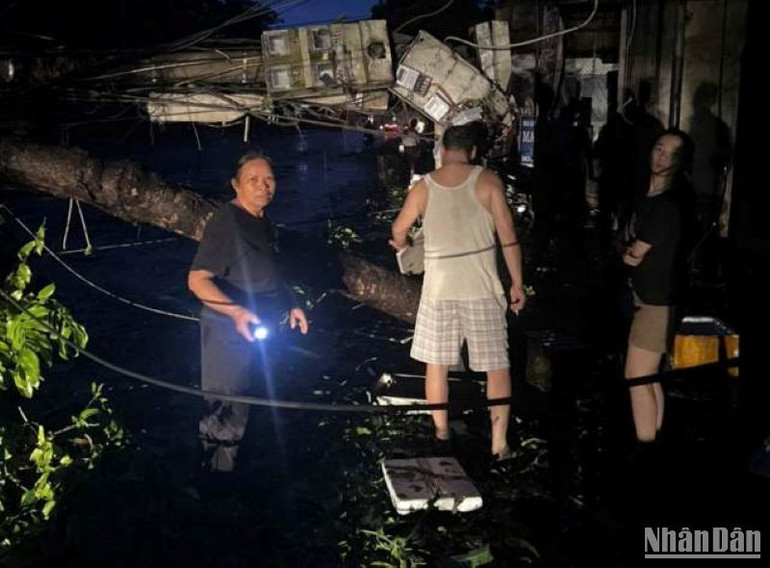 Cơn bão số 3 quét vào đất liền đã gây thiệt hại nghiêm trọng cho ngành điện Thái Bình.