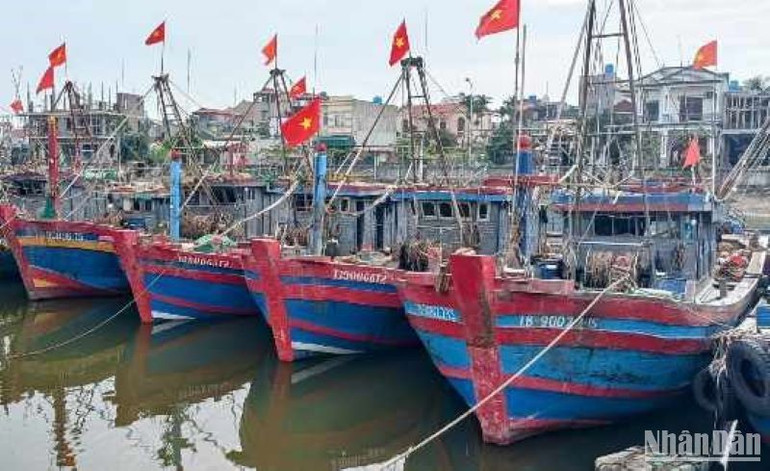 Đến nay, tất cả tàu thuyền trên địa bàn tỉnh Thái Bình đã vào nơi neo đậu an toàn.