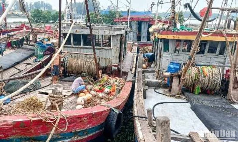 Chủ tàu cá tại cảng Tân Sơn (huyện Thái Thụy) đang gia cố phương tiện, hạn chế va đập.