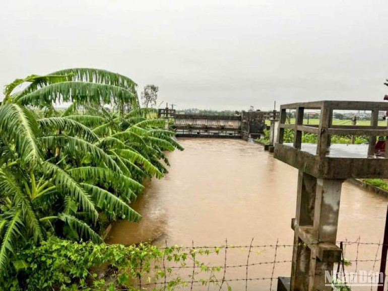 Việc tiêu úng cho lúa, hoa màu trong nội đồng gặp khó khăn do mực nước trên các sông lớn đang dâng cao.