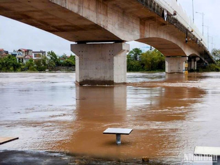 Sông Trà Lý (khu vực thành phố Thái Bình) nước dâng cao rất nhanh. (Ảnh chụp lúc 11 giờ ngày 10/9/2024)